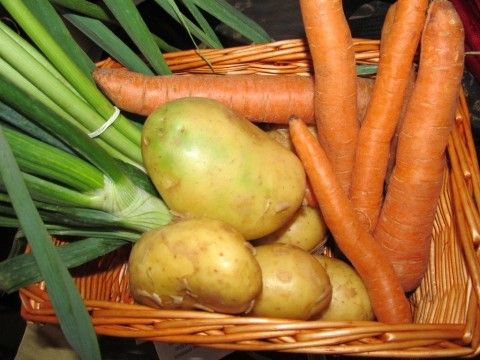 Prokuplje dobija najsavremeniju Zelenu pijacu Prokuplje dobija najsavremeniju Zelenu pijacu