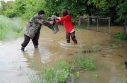HITNO: SMS na broj 1003, telefoni i računi za pomoć poplavljenima item-thumbnail