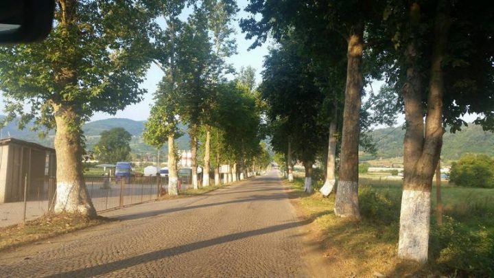 Grdelica, varoš sa najlepšim drvoredima iznad „crne tačke“ Grdelica, varoš sa najlepšim drvoredima iznad „crne tačke“