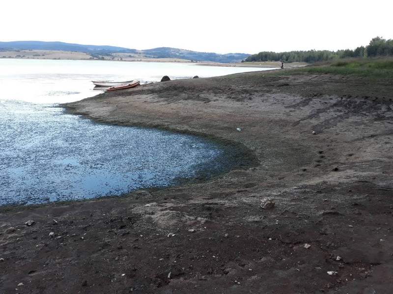 Због прекомерног испумпавања воде за мини хидролектране Власинско језеро буквално умире! (фото)