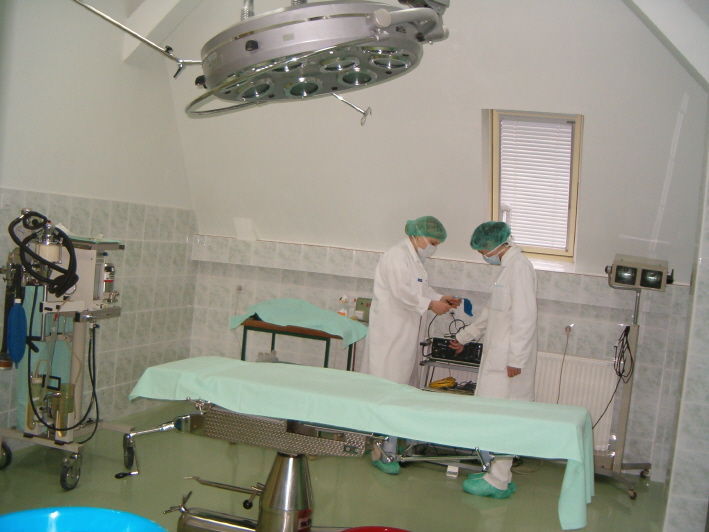 Prva operacija ugradnje veštačkog kolena