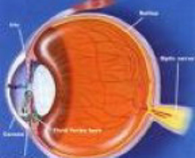 Besplatni oftalmološki pregledi