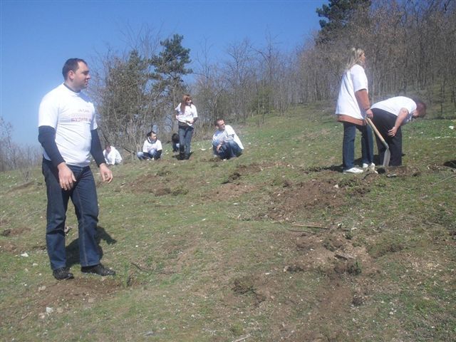 Socijalisti sade četinare na Hisaru