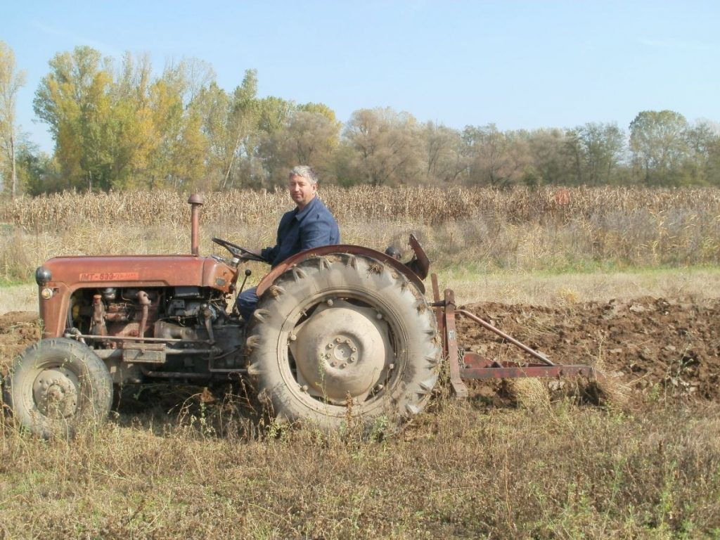 Kiša dobra za poljoprivredu