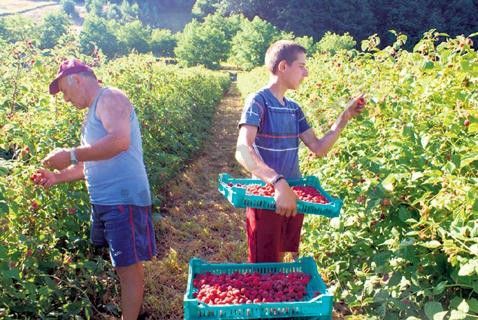 Malinari sa juga Srbije prete blokadom puta