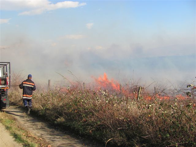 Četiri požara u Leskovcu, Bojniku i Crnoj Travi