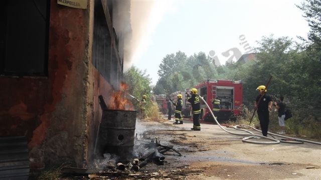 Požar uništio 11 zaplenjenih vozila