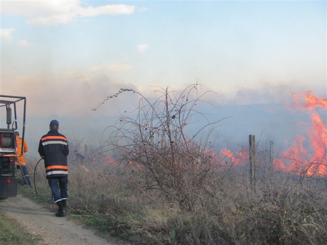 Lokalizovan požar na Staroj planini