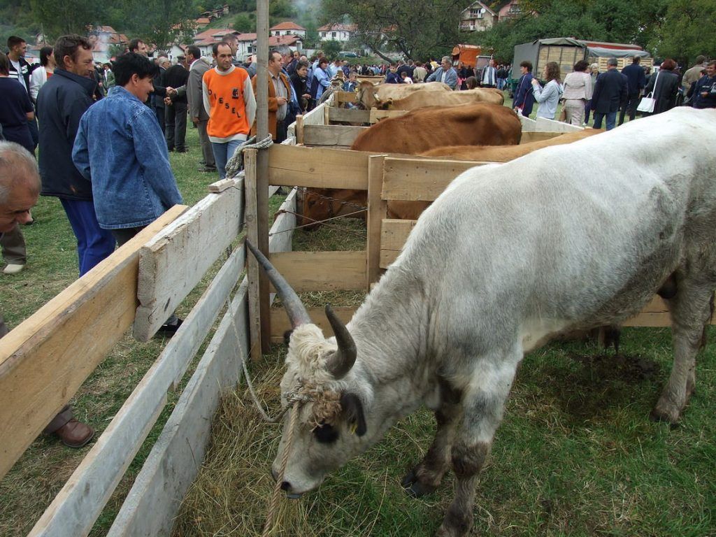 Sajam balkanskog nasleđa