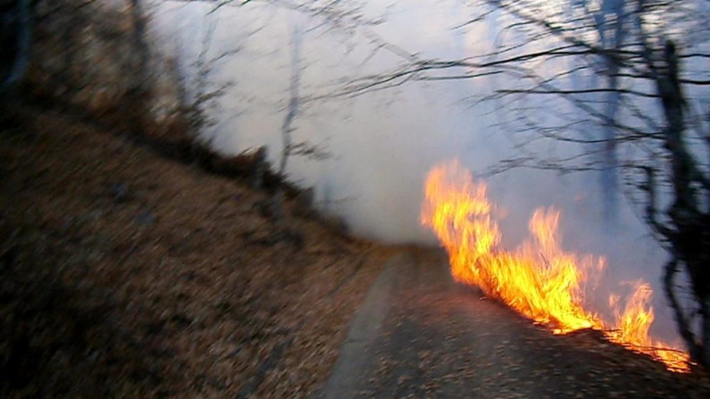 Bukti požar u opštini Žitorađa