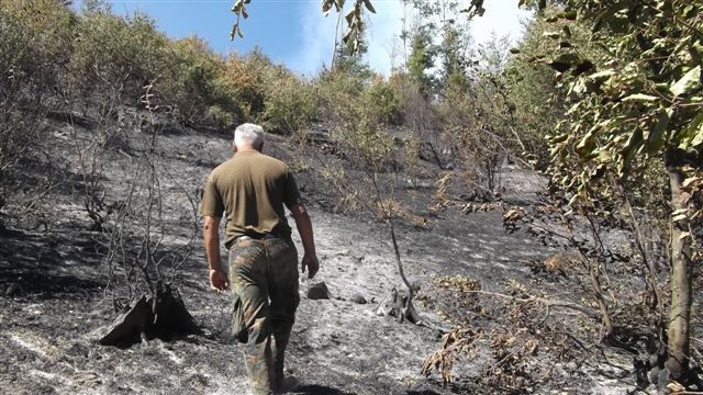 Na Babičkoj gori izgorelo 100 hektara šume