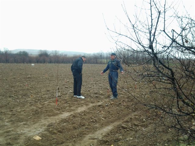 Ministarstvo poljoprivrede finansira razvoj voćarstva na jugu Srbije