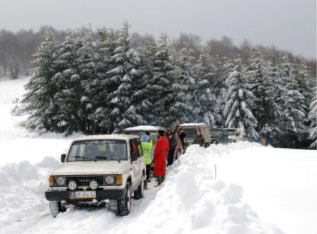 Sportski početak godine u Blacu