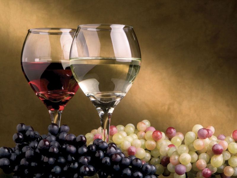 Konkurs za izbor najboljeg vinara, vinograda i Mis Vinskog bala