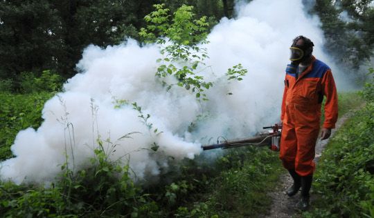 Suzbijanje larvi komaraca i na teritoriji opštine Medveđa