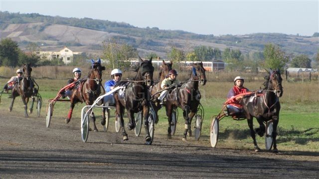 Pehar sa kasačkih trka u Leskovcu otišao u Beograd