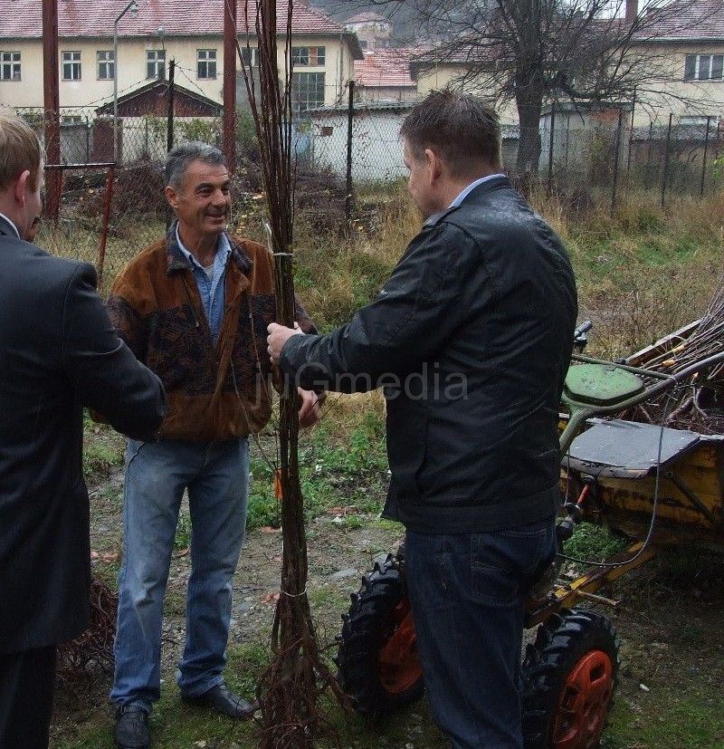 Besplatne sadnice za voćare u Trgovištu