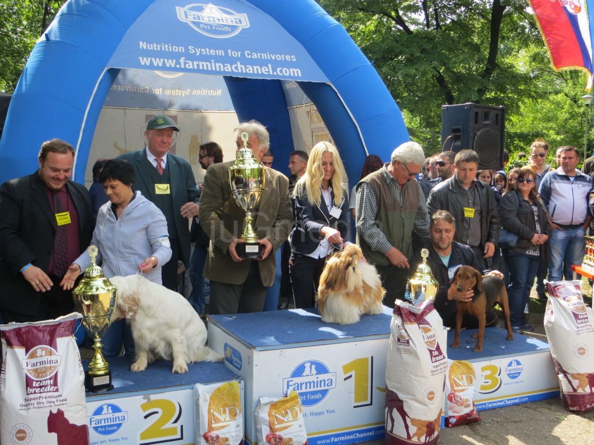 Održana  Međunarodna izložba pasa u Vranju