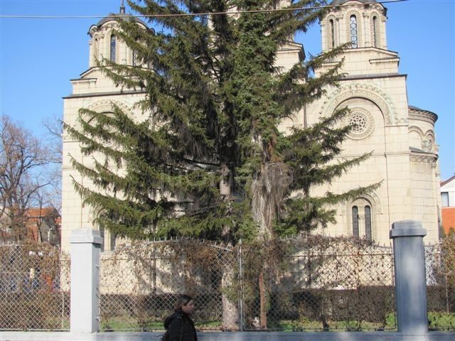 Na današnji dan srpska pravoslavna crkva postala samostalna
