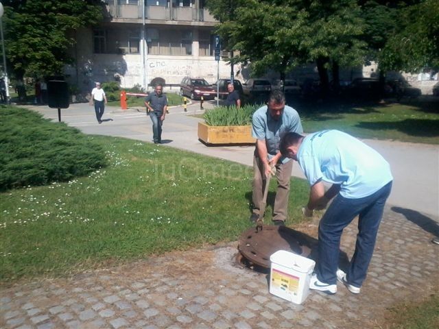 Još jedna akcija zamagljivanja komaraca u petak u Leskovcu