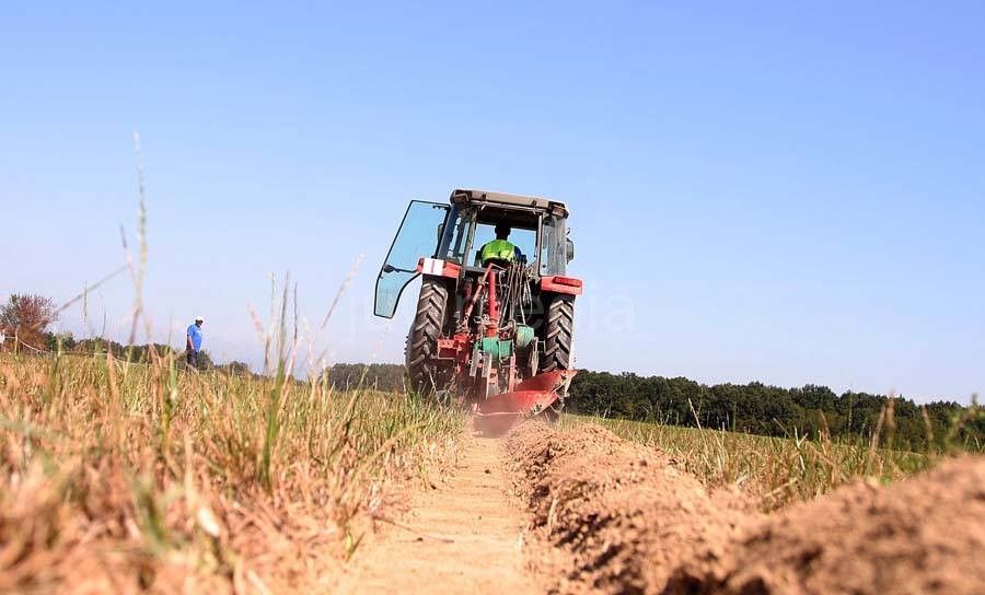 Bujanovac daje poljoprivredno zemljište u zakup