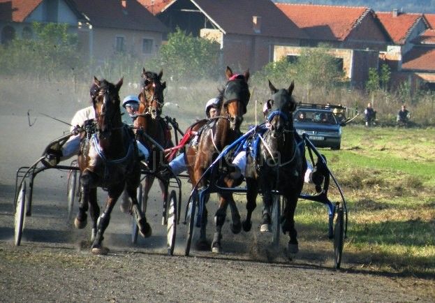 Održane oktobarske konjičke trke