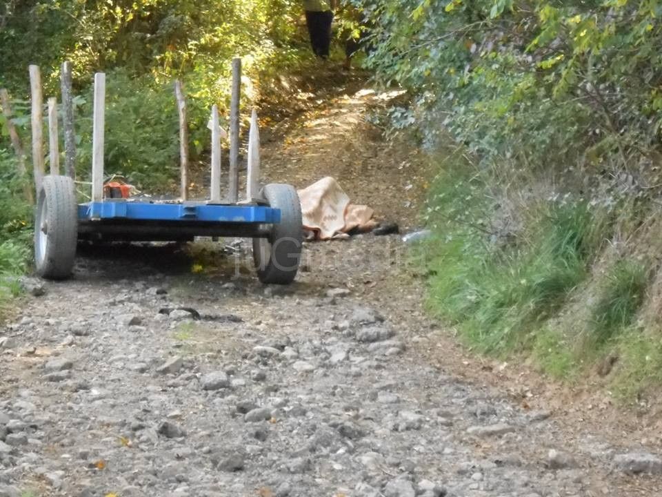 Prevrnuo se traktor kod Čukljenika, povređene dve osobe