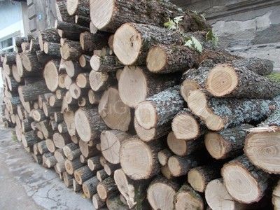 Skače cena ogrevnog drva