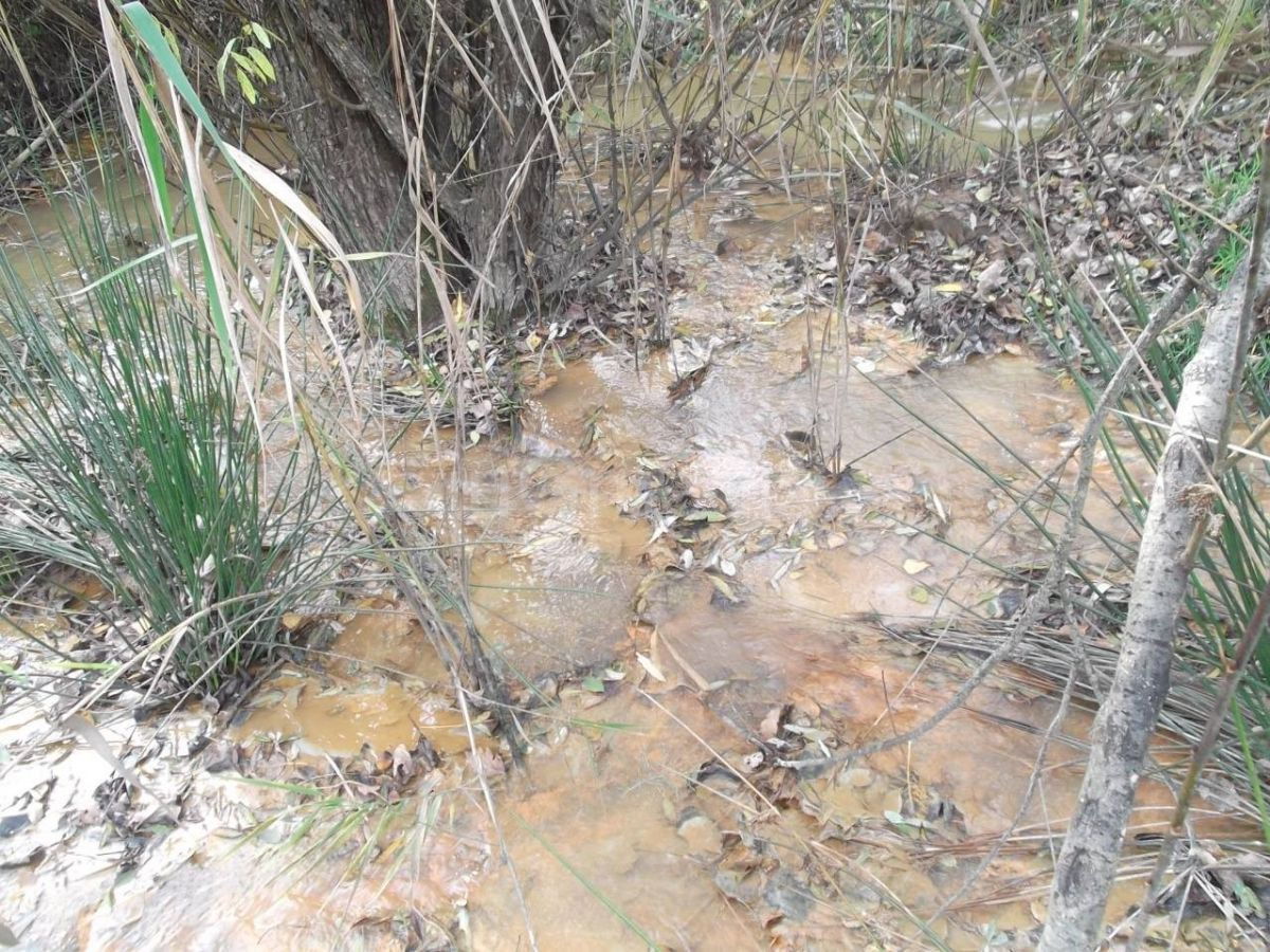 PROBLEM Otpadne vode iz rudnika Lece se direktno ulivaju u potok