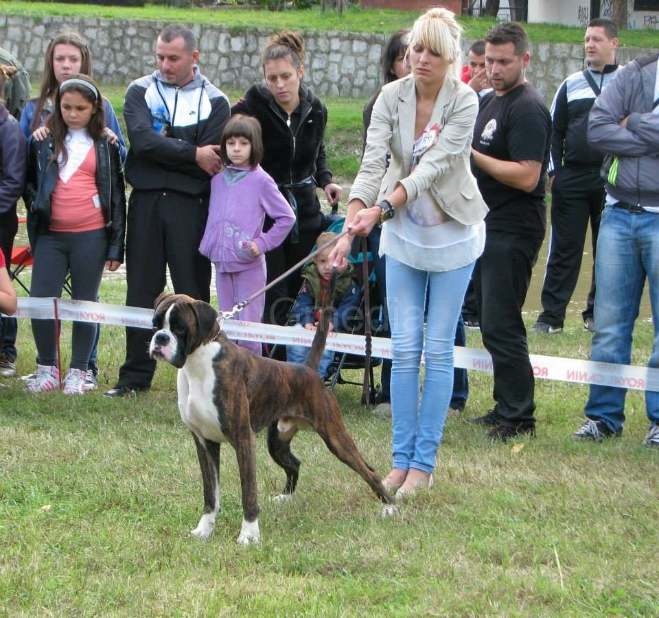 Nišlijka Milena Jovanović jedna od malobrojnih profesionalnih hendlera