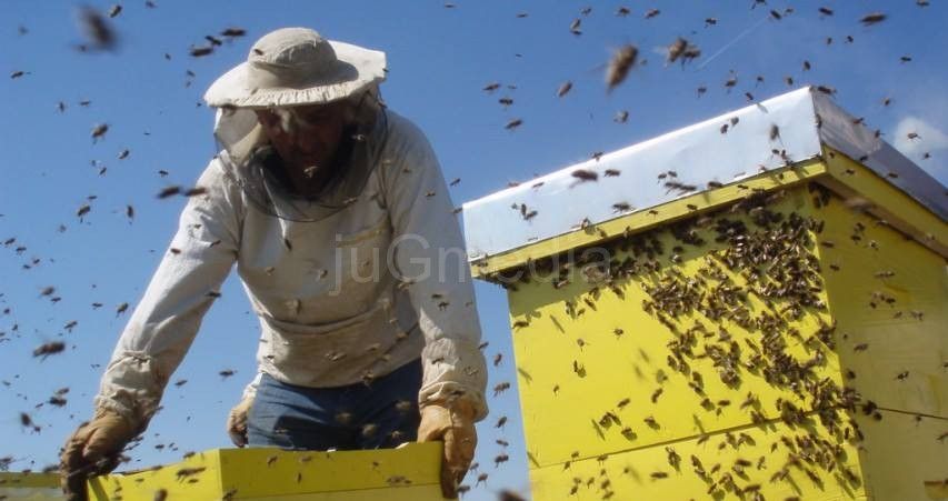 Zimsko savetovanje pčelara