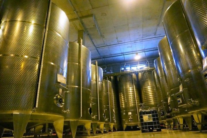 Vinarija Budureasca ima kapacitet za 3 miliona litara godisnje sm