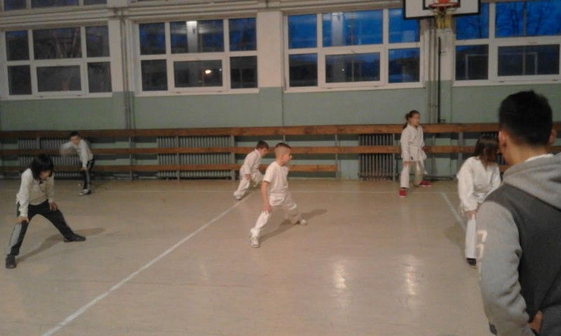 U Vladičinom Hanu radi škola karatea