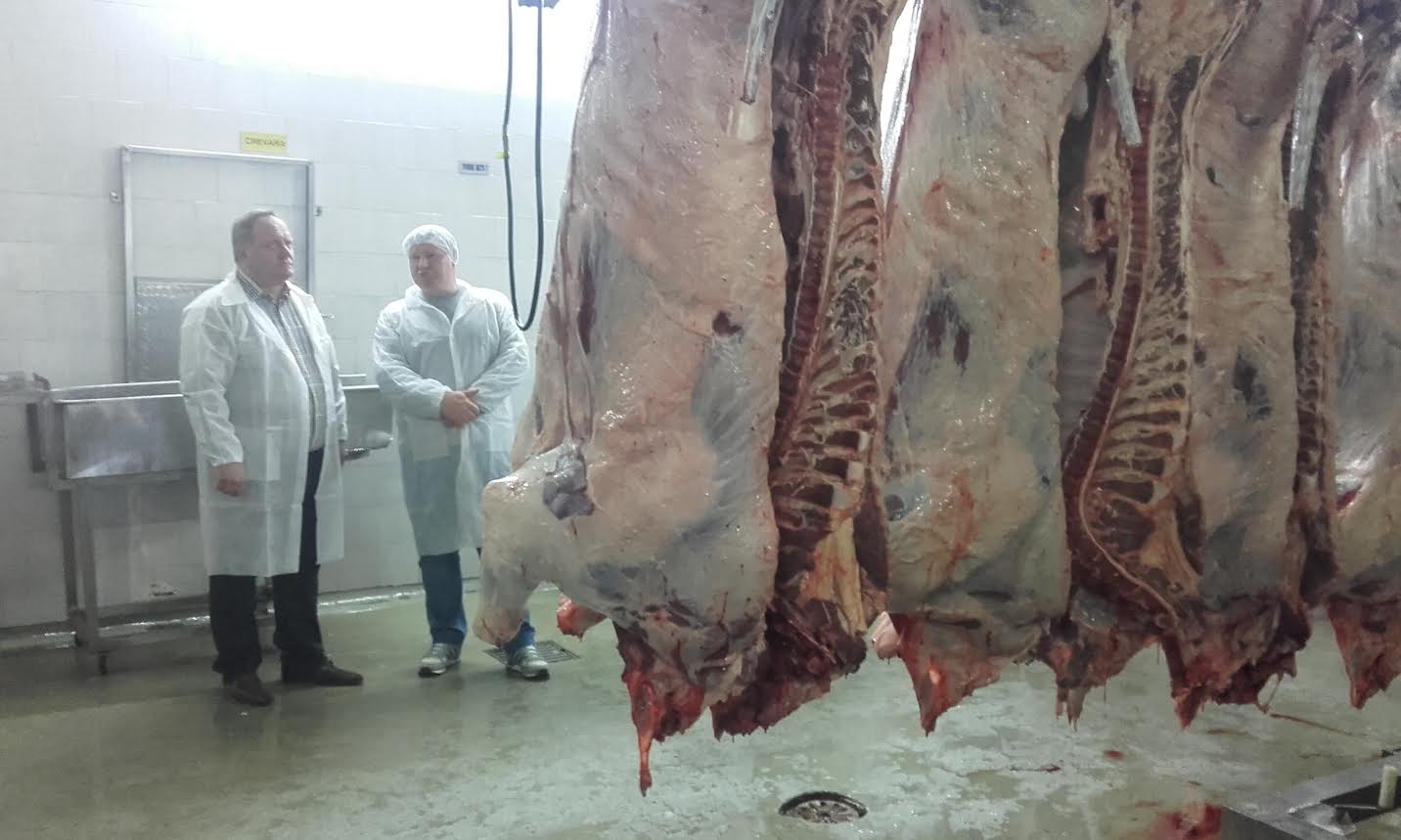 Posle 30 godina, svinjsko meso iz Srbije na tržištu Evropske unije
