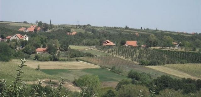 Makedonski državljanin upao u kuću kraj Niša i tražio da jede