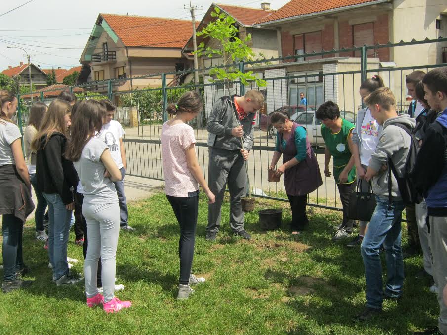 U „Voždu“ učenici zasadili drvo greneracije