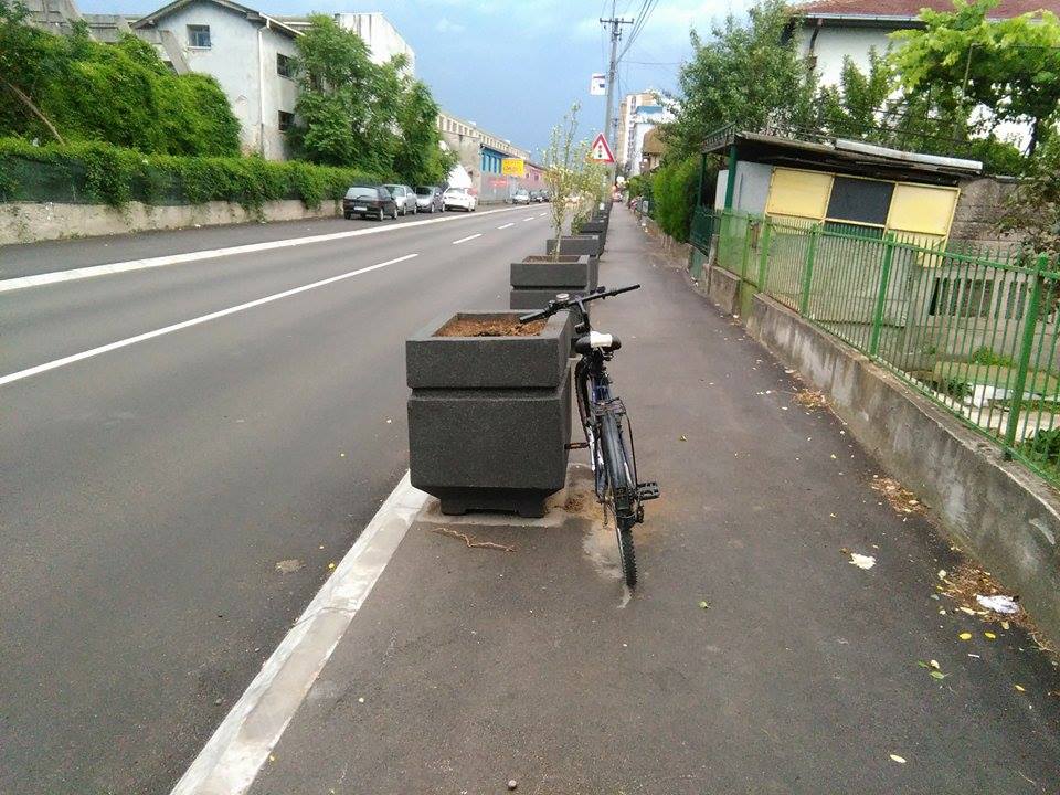 BEZOBRAZLUK! Počupali ukrasno drveće iz žardinjera