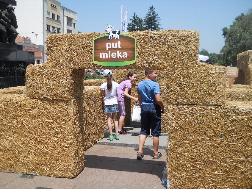 Danas je Svetski dan mleka – mini farma na centalnom trgu u Nišu