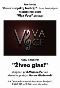 viva vice_plakat