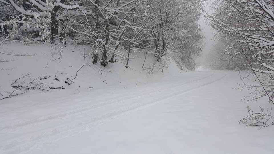 Mrtav muškarac pronađen u snegu