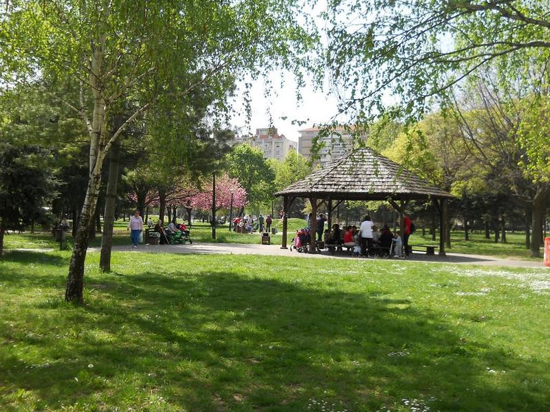 Matura parti u parku Sveti Sava