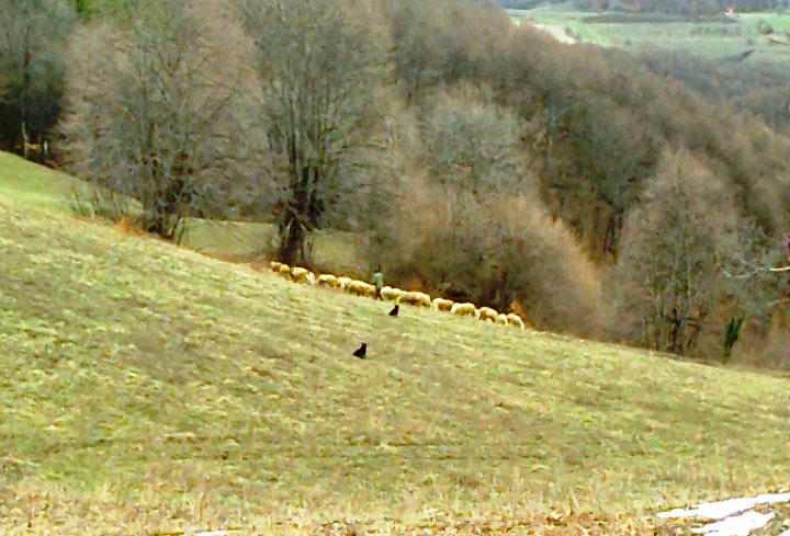 Država pokljanja mladim farmerima zemlju, u Leskovcu na raspolaganju oko 6 000 hektara