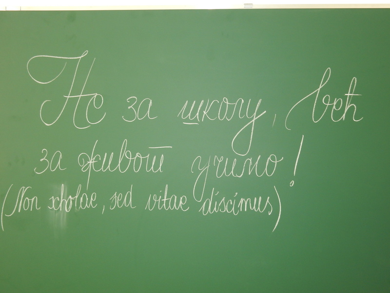 Pismo profesra povodom vukovaca: Gradonačelniče, ne perite ruke, od Vas zavisi!