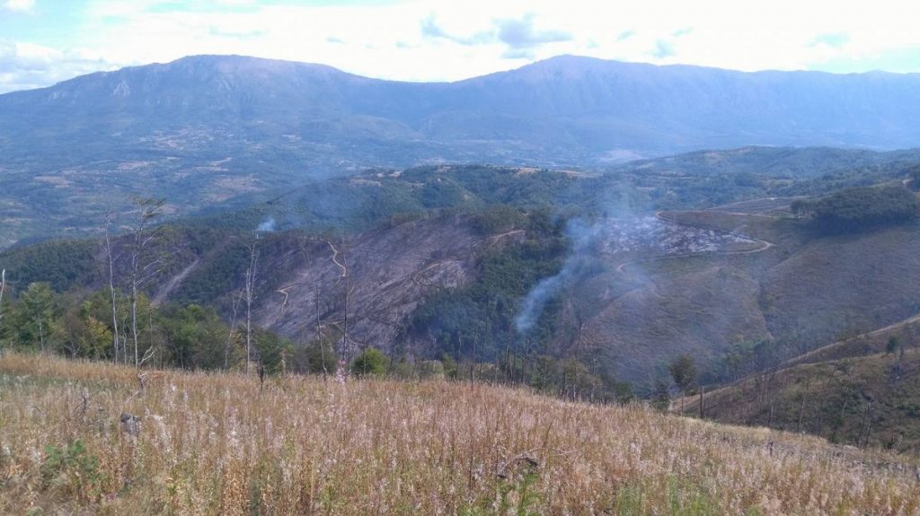 Požar na Suvoj planini zaustavljen prema selu, preti šumi