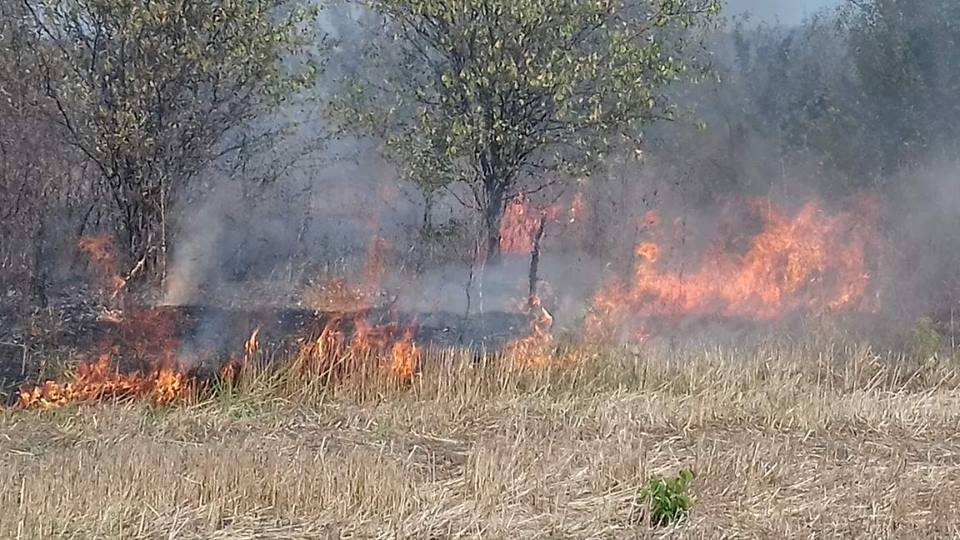 Zbog velikog broja požara održana sednica Okružnog štaba za vanredne situacije Jablaničkog upravnog okruga