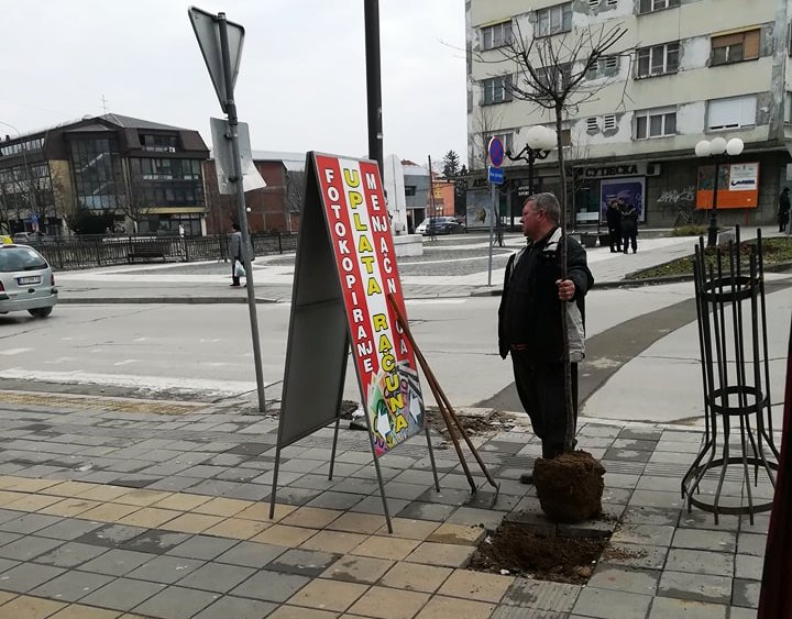 Uklonjeno drvo sa staze za slepe