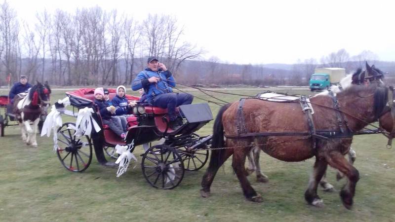 Todorova subota u Dobrotinu, priča o ljubavi prema konjima (FOTO)