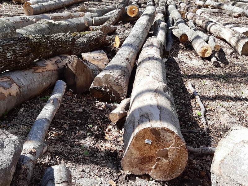 Vozač traktora poginuo dok je spremao drva u selu Marovac kod Medveđe