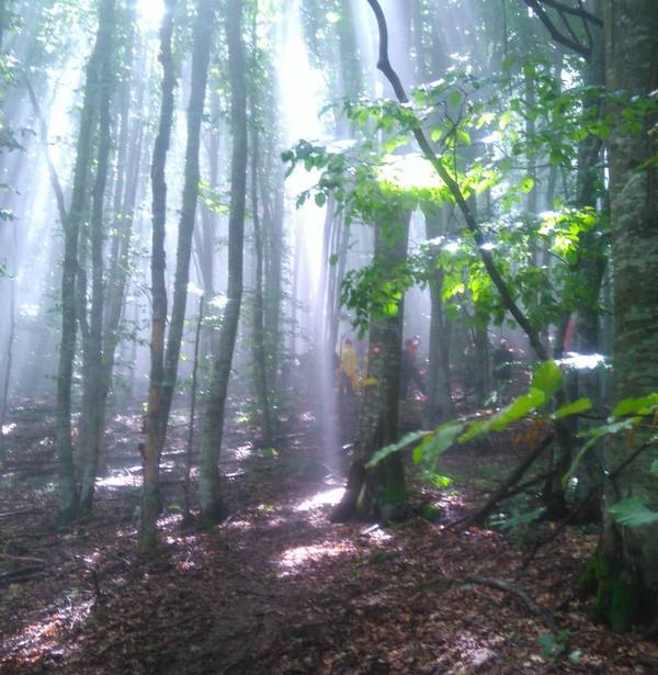 Sunce se vraća sutra, rast temperature u nedelju 