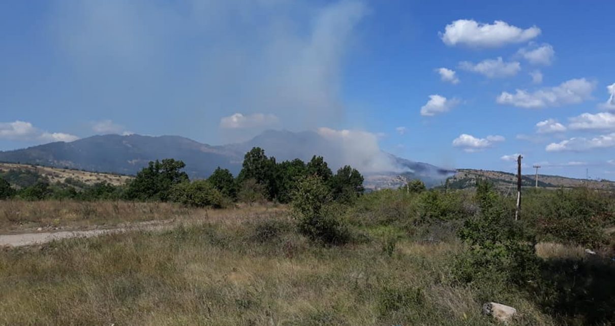 Pod kontrolom požar na Suvoj planini, vatru gase ekipe iz Niša, Pirota i Leskovca 